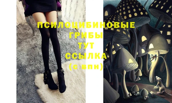 каннабис Баксан